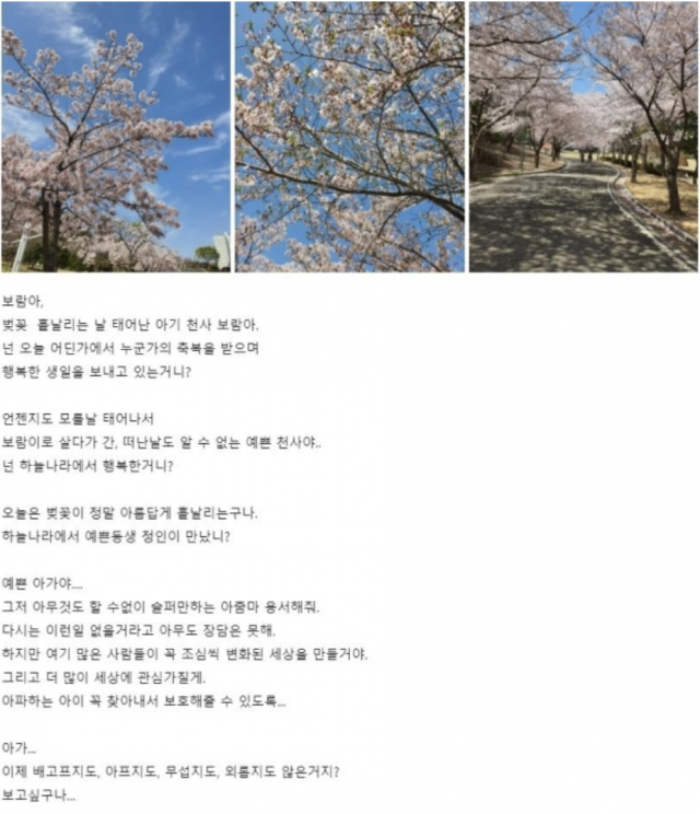 벚꽃 사진과 함께 올라온 구미 여아 추모 글. /대한아동방지협회 캡처