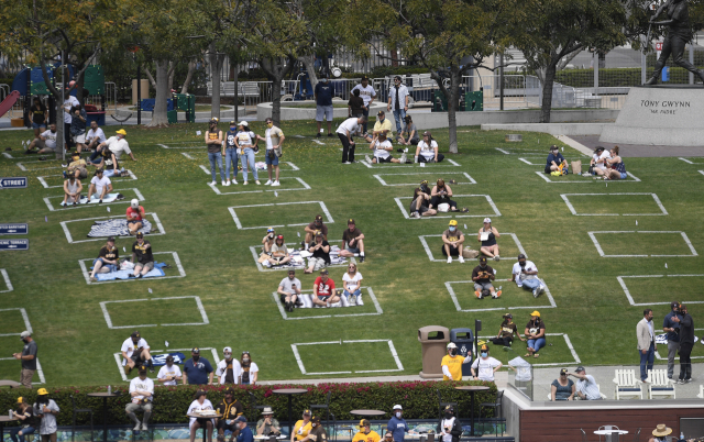 샌디에이고 펫코 파크의 외야 잔디 관람석. 거리 두기를 위해 흰색으로 구획이 나뉘어 있다. /샌디에이고=AP연합뉴스