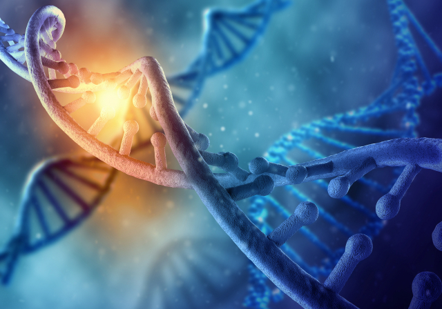 DTC 유전자검사 3차 시범사업 이달 중순 시작