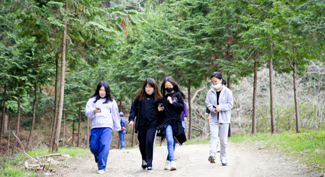 편백나무숲 오솔길은 남녀노소 누구나 부담없이 걸을 수 있는 코스다.