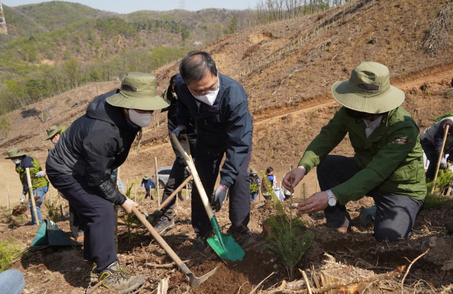 최병암(사진 왼쪽에서 두번째) 산림청장이 용인시 석포숲에서 전나무를 심고 있다. 사진제공=산림청