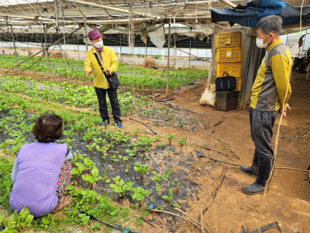 경기도는 이달부터 ‘로컬 푸드(local food)’ 재배·판매 역량 강화 등을 위한 컨설팅을 하고 있다. 사진은 지난해컨설팅 모습. /사진 제공=경기도