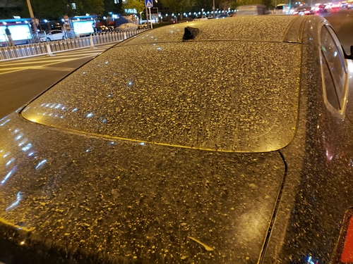 15일 중국 수도 베이징이 심한 황사로 뒤덮인 가운데 도로에 주차된 자동차에 황사비의 흔적이 남아있다. /연합뉴스