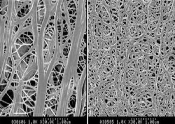 배터리 분리막을 현미경으로 본 모습. 작은 구멍들을 볼 수 있다. /삼성SDI