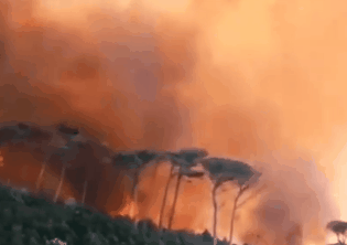 18일(현지시간) 남아공 케이프타운에 있는 관광명소 테이블마운틴에서 화재가 발생했다./출처=트위터
