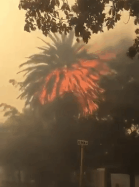 18일(현지시간) 남아공 케이프타운에 있는 관광명소 테이블마운틴에서 화재가 발생해 시내가 연기로 갇혔다./출처=트위터