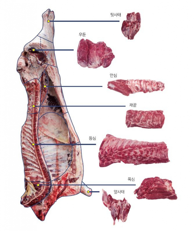 한우·돼지 한 마리서 고기가 얼마나 생산될까?