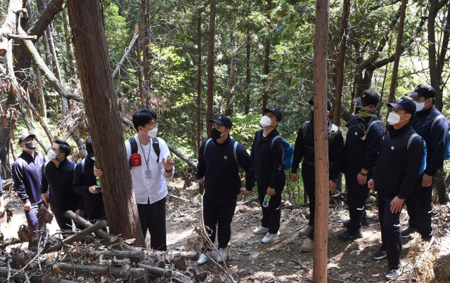 해군장병들이 숲에서 산림치유 프로그램에 참가하고 있다. 사진제공=국립산림치유원