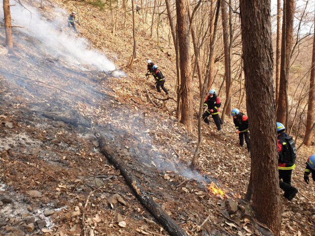 산림청, ‘산불 단계별 동원령’… 산불대응 강화