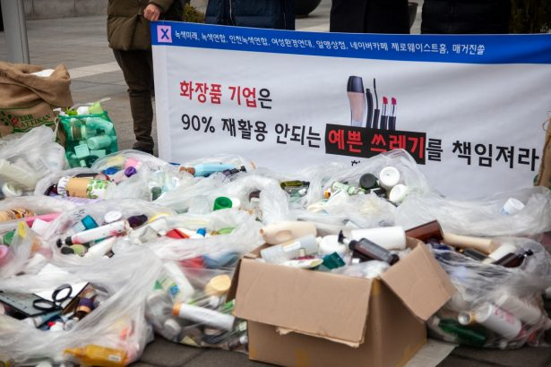 지난 2월 서울 광화문 LG생활건강 사옥 앞에서 열린 환경 단체들의 집회 현장. /사진=녹색연합