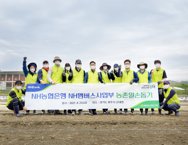 남재원(왼쪽에서 일곱 번째) NH농협은행 마케팅부문 부행장과 NH멤버스사업부 직원들이 지난 23일 경기도 파주시 군내면에서 농촌일손돕기를 진행하고 있다. /사진 제공=NH농협은행