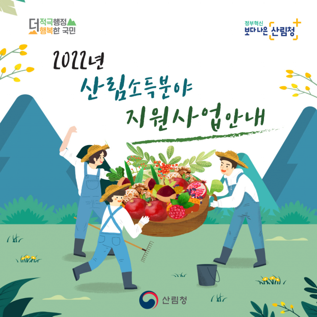 산림청은 2022년 산림소득 지원사업에 대한 공모를 실시한다. 사진제공=산림청