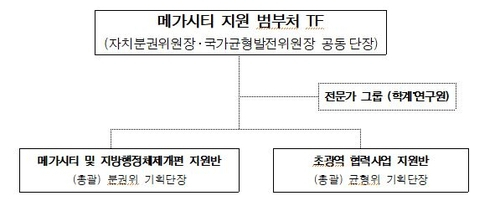 메가시티 지원 범부처 TF 조직도