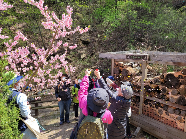 4월 15일 ‘숨쉬다’ 프로그램 참가자들이 나무에 핀 꽃을 만져보고 있다. /사진 제공=성북구
