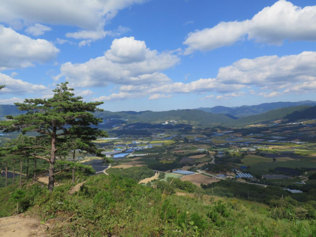 디엠지(DMZ) 펀치볼둘레길