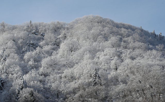신록의 푸르름과 새하얀 눈이 만든 '5월의 설경'