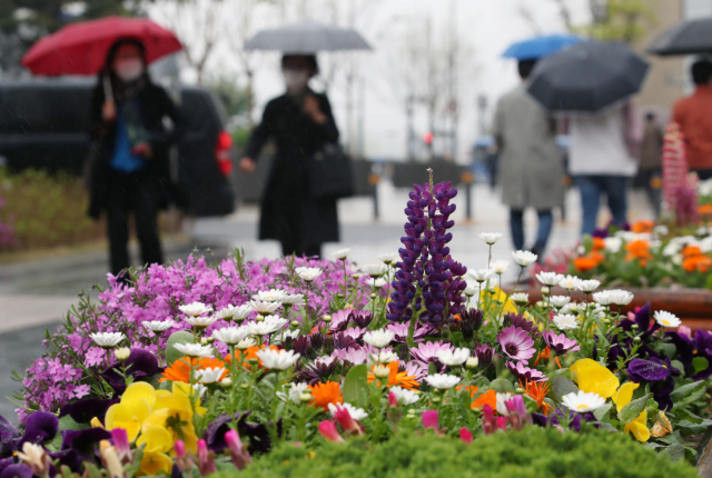 서울 중구 청계광장에서 우산을 쓴 시민들이 발걸음을 재촉하고 있다. /연합뉴스