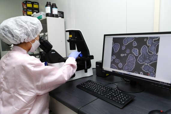 차바이오텍 연구원이 배양중인 줄기세포를 확인하는 모습./사진 제공=차바이오텍