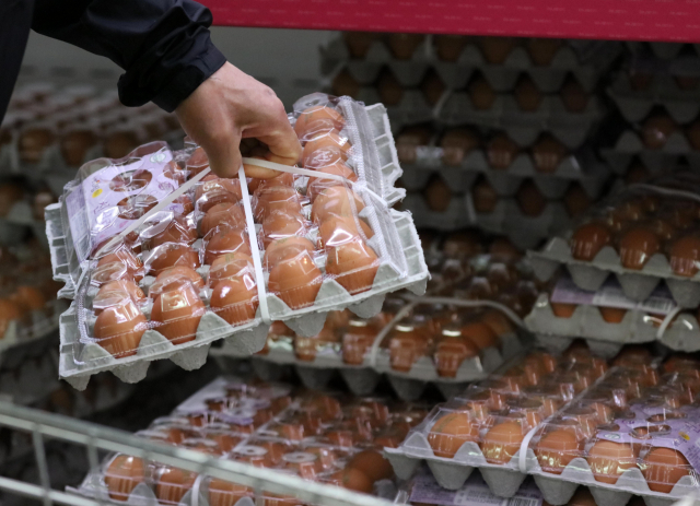 4일 하나로마트 양재점에서 달걀을 고르는 시민 /연합뉴스