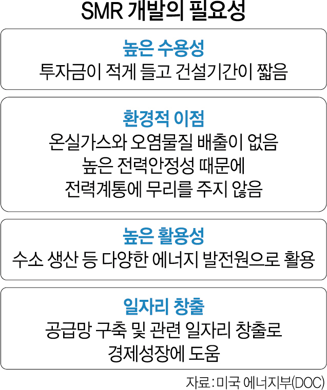 '미·러 SMR 개발 앞장, 중·일 뒤쫓는데…韓 멀뚱히 바라만봐'