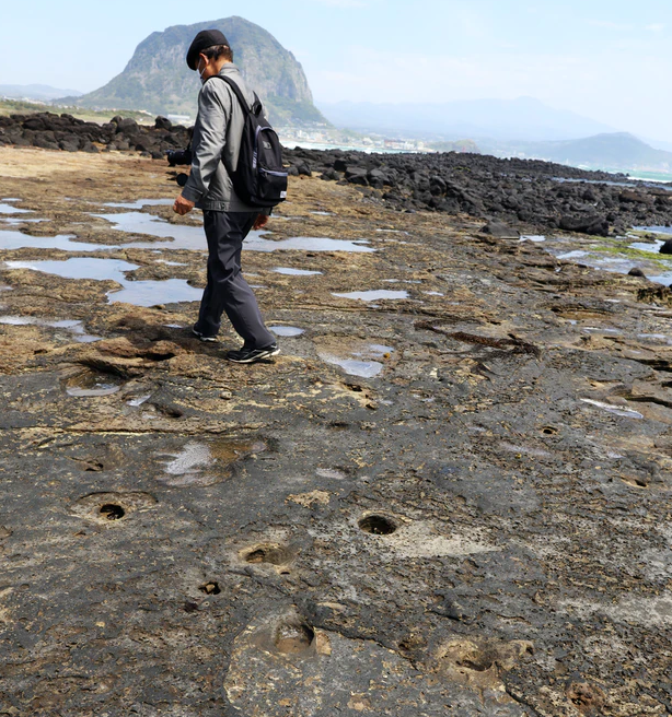 7,000여년 전 제주에 말과 사람 발자국 화석이 새겨진 모습.