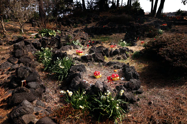 1948년부터 8년 가까이 학살이 이뤄진 제주 4·3항쟁 당시 한 학살터에 꽃이 피어 있다.