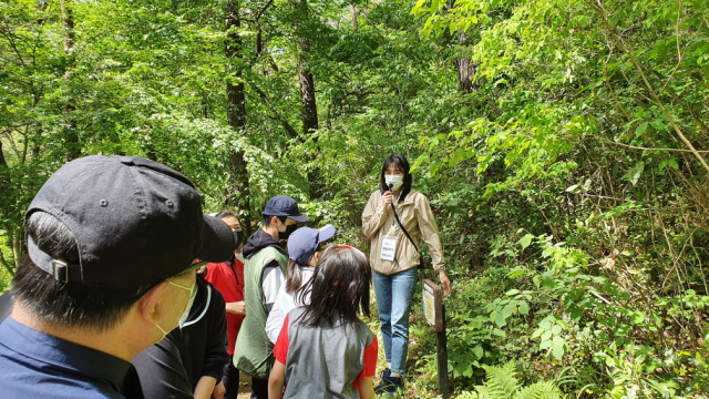 한국산림복지진흥원은 환경성질환을 앓는 어린이들을 대상으로 숲캠프를 운영하고 있다. 사진제공=한국산림복지진흥원