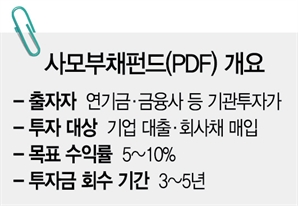 새 먹거리 사모대출 채비 나서는 사모펀드들