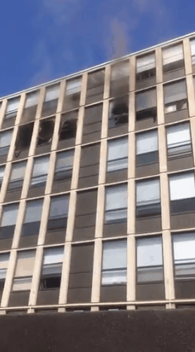 시카고의 한 건물에서 화재가 나자 안에 있던 고양이가 5층에서 창밖으로 뛰어내리고 있다. /출처=chicago fire media
