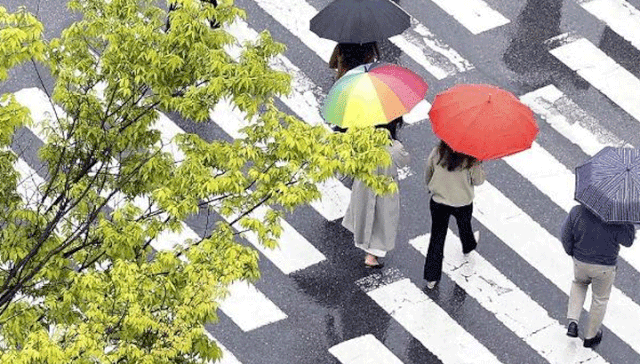 [오늘의 날씨] 전국 곳곳 많은 비, 더위 주춤…제주·남해안은 강풍도