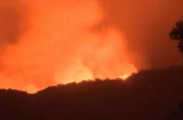 지난14일(현지시간) 오후10시께 LA 토팡가주립공원 인근 산기슭에서 큰불이 나고 있는 모습. 16일까지 서울 여의도 면적 2배에 가까운 면적이 불길에 휩싸였다. /출처=abc7 유튜브