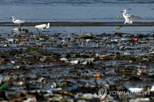 단 20개 기업이 전세계 플라스틱 쓰레기 55% 만든다