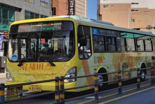 부산시가 '부산 낙동강 유채꽃축제'를 개편해 추진한 유채버스 모습. /사진 제공=부산시