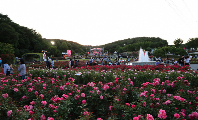 지난 2019년 5월 울산대공원 장미원에서 장미축제가 열리고 있다. 하지만 지난해와 올해는 코로나19로 축제가 취소됐다. /사진제공=울산시