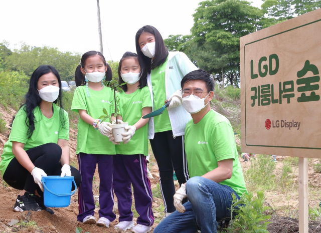 LG디스플레이, 민통선 지역서 '귀룽나무 심기' 봉사활동