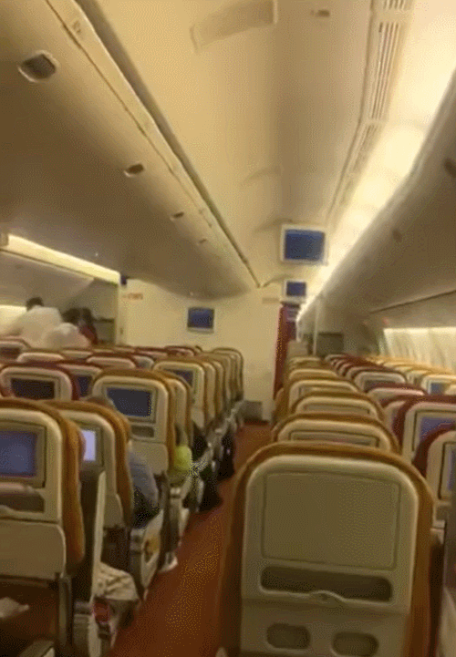 [영상] 웬 박쥐가 '푸드덕'…인도 비행기 30분만에 긴급회항한 사연