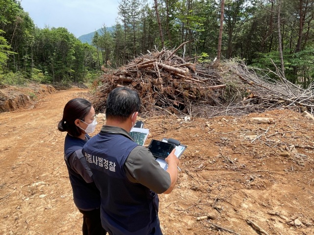 산림사법경찰이 산림보호지역내 불법 벌채행위에 대해 현장조사를 실시하고 있다. 사진제공=산림청
