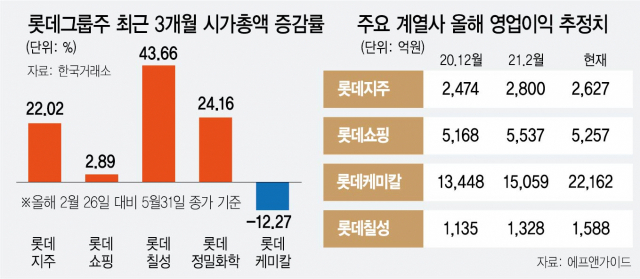 지주 신고가·쇼핑도 껑충…롯데그룹주 '온기' - 서울경제 - 서울경제신문
