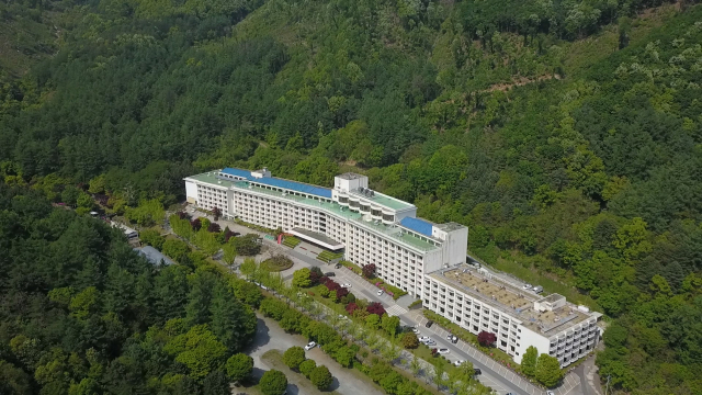 한화호텔 '100년의 숲 프로젝트로 연간 1,500톤 탄소 흡수'