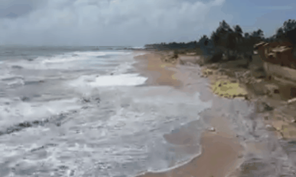 [영상]우려가 현실로…스리랑카 앞바다 뒤덮은 잿빛 알갱이