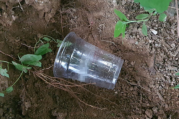 버려진 일회용 플라스틱 컵. 플라스틱이 땅에 묻혀 썩어서 없어지려면 500년이 걸린다고 합니다. /지구용