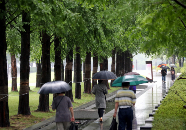 비가 내린 지난 11일 부산 부산진구 송상현광장에서 우산을 쓴 시민들이 산책하고 있다. /부산=연합뉴스