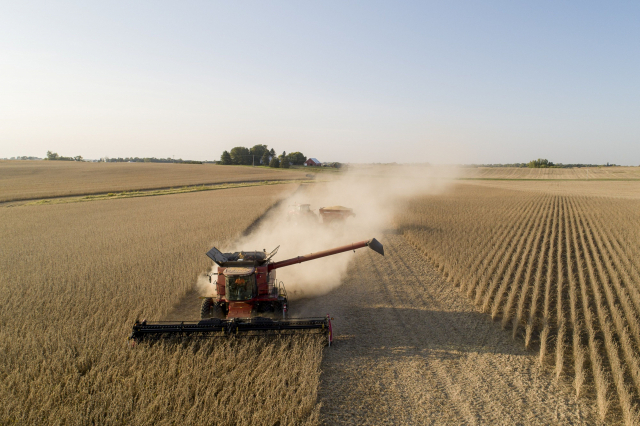 미국 일리노이주 와이아네트에서 대두가 수확되고 있다. /블룸버그 자료사진