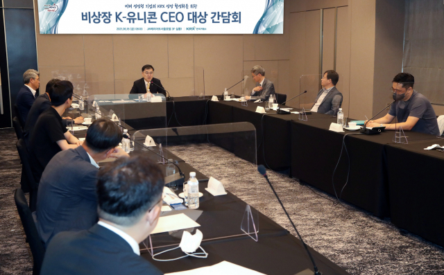 유니콘 CEO들 '상장 심사, 미래 성장성 중심으로 해달라'