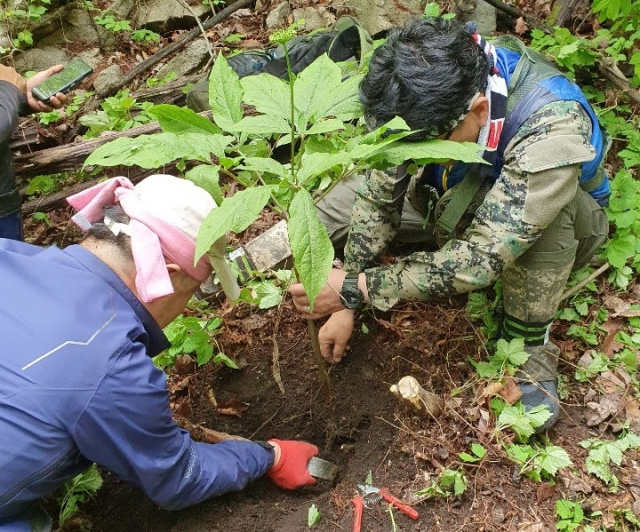 기사와 상관 없는 사진. /연합뉴스