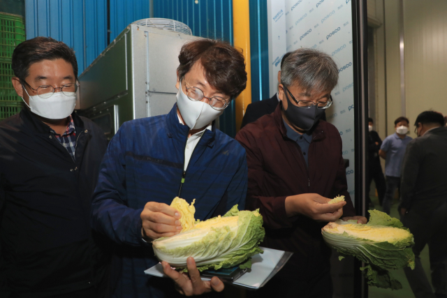 박영범(가운데) 농림축산식품부 차관이 22일 강원도 평창군 대관령원예농협에서 고랭지 배추를 살펴보고 있다. /사진제공=농림축산식품부