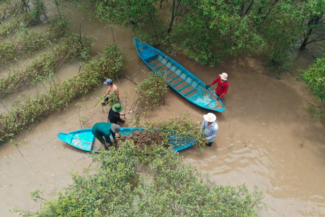 SK이노베이션, 올해도 베트남서 ‘맹그로브 숲’ 복원 사업 이어간다