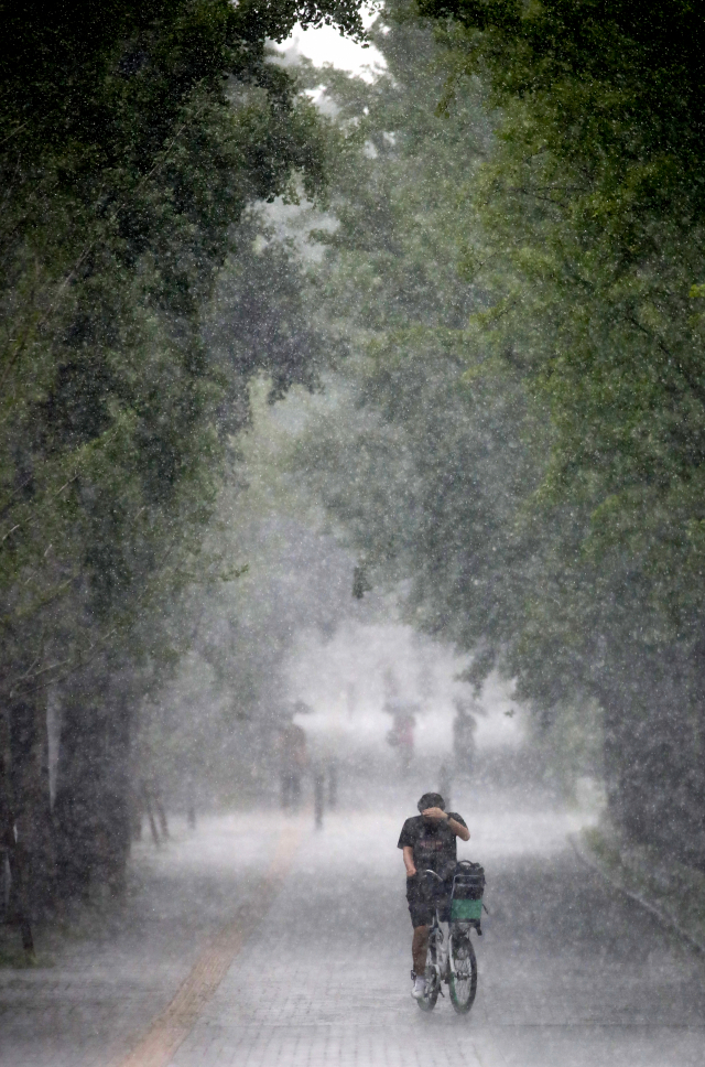 6월 30일 오후 소나기가 내린 서울 송파구 위례성길에서 따릉이를 탄 시민이 비를 맞으며 길을 지나고 있다./연합뉴스