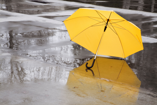비 오는 날의 우산 . /이미지투데이 제공