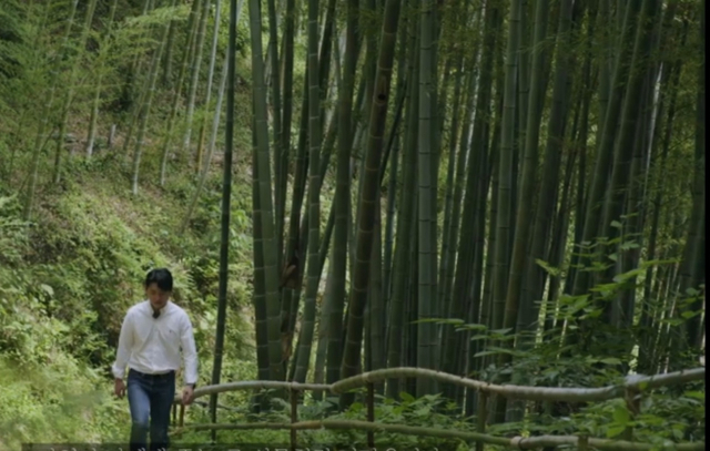 아모레퍼시픽 관계자가 경남 사천 대나무 숲을 찾아 소개하는 유튜브 콘텐츠 ‘랜선여행’을 촬영하고 있다./아모레서시픽 유튜브